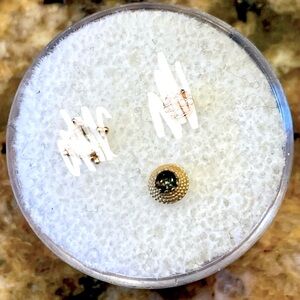 Anatometal 14k yellow gold threadness Hera End